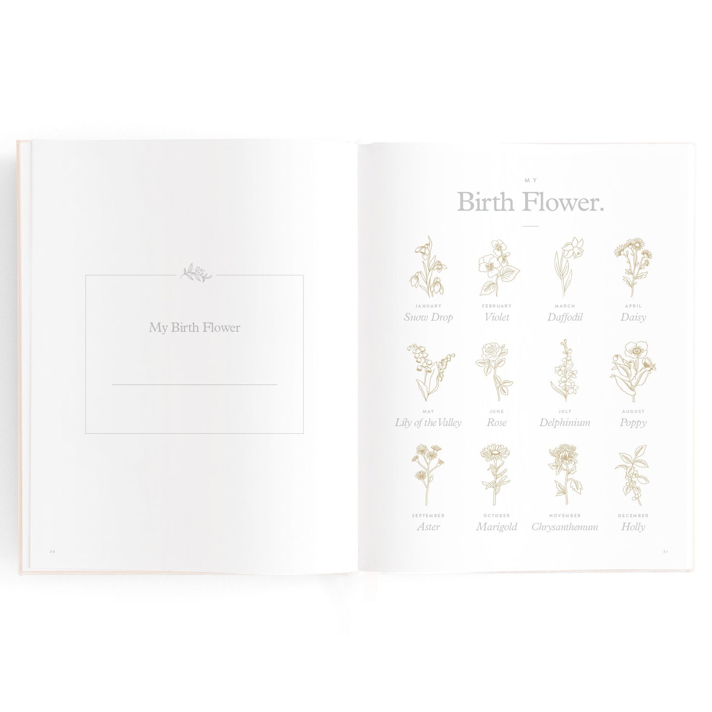 Baby Memories & Milestone Journal in Buttermilk (Boxed)